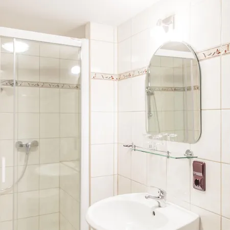 Hotel Schwarzes Ross & Restaurant 3*