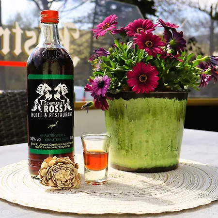 Hotel Schwarzes Ross & Restaurant Oberwiesenthal